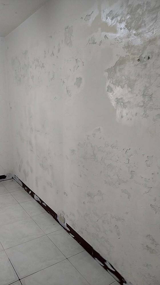 新莊油漆-新莊化成路牆壁裂縫及壁癌處理補土
