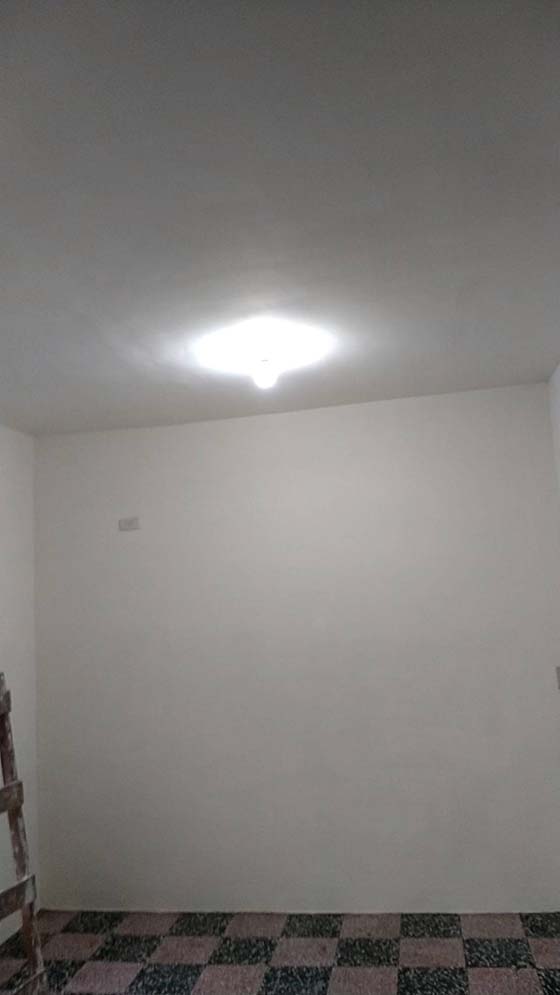 新北市樹林區國凱街完工照